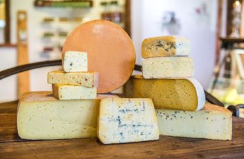 Bio Käse