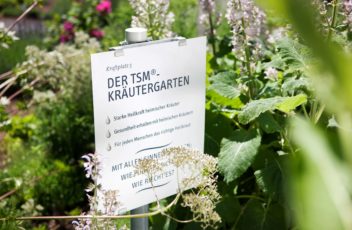 TSM Kräutergarten