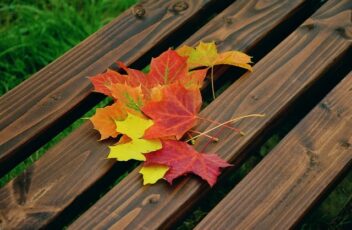 autumn-leaves-1740841_640