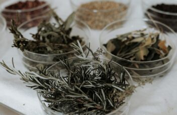 Heimische Kraeuter (c) Gerald Gaertner