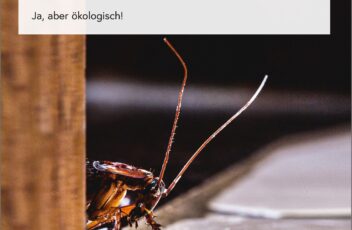 ameisen-motten-co__cover-rahmen